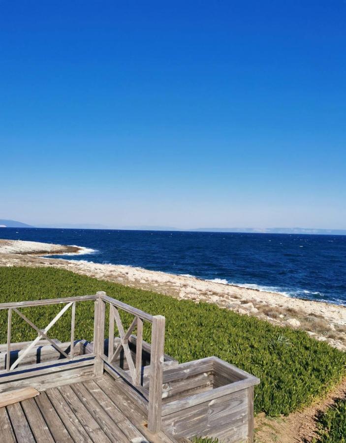 Apartment Andreas - Amphitheater - Пула Екстериор снимка